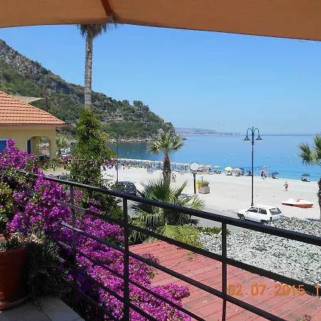 Sirene * Scilla